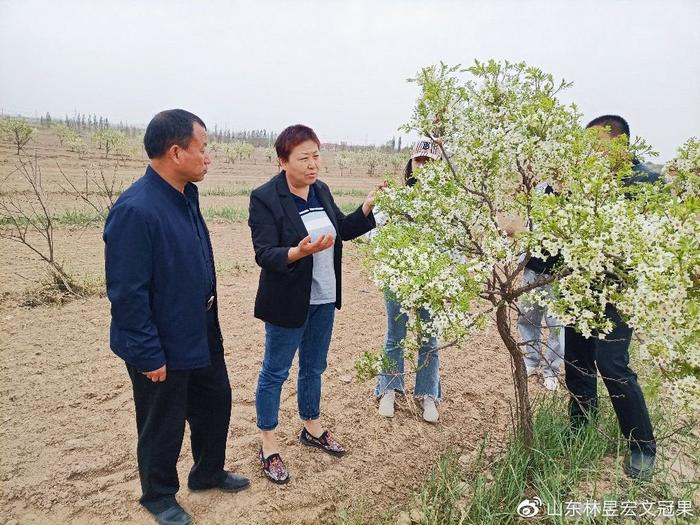 204新奥马新免费资料